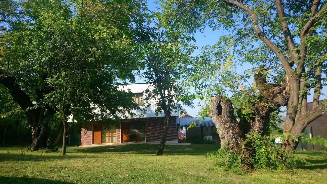 Dobrevtsi Villa Dream מראה חיצוני תמונה